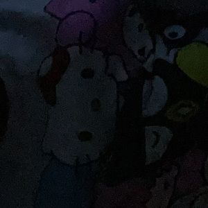 Meet your Posher, Salori